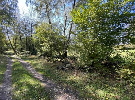 Prodej - pozemek, zemědělská půda, 14 413 m²