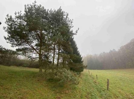 Prodej - pozemek, ostatní, 566 m²