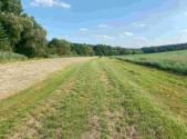 Prodej - pozemek, zemědělská půda, 250 m²