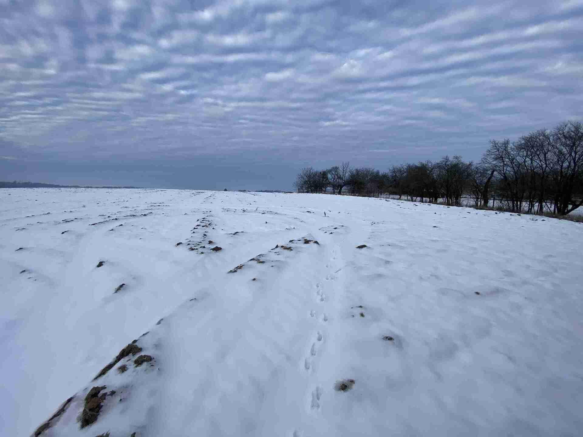 Prodej pozemku Řendějov