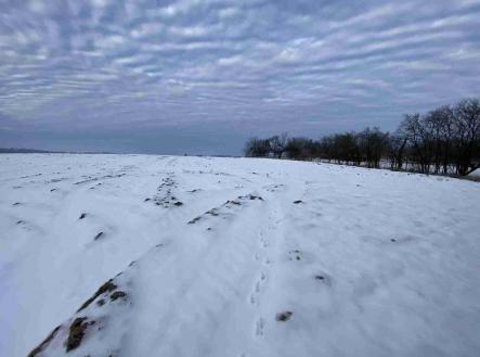 Prodej - pozemek, ostatní, 1 750 m²