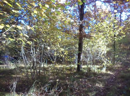 Prodej - pozemek, ostatní, 2 102 m² obrázek