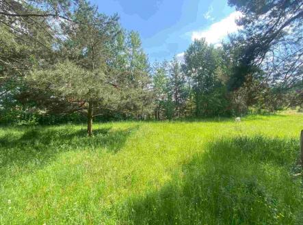 Prodej - pozemek, ostatní, 2 300 m²