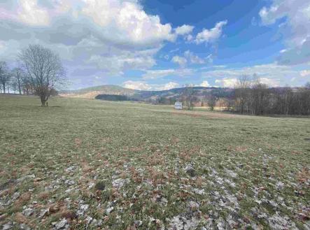 Prodej - pozemek, zemědělská půda, 6 128 m²