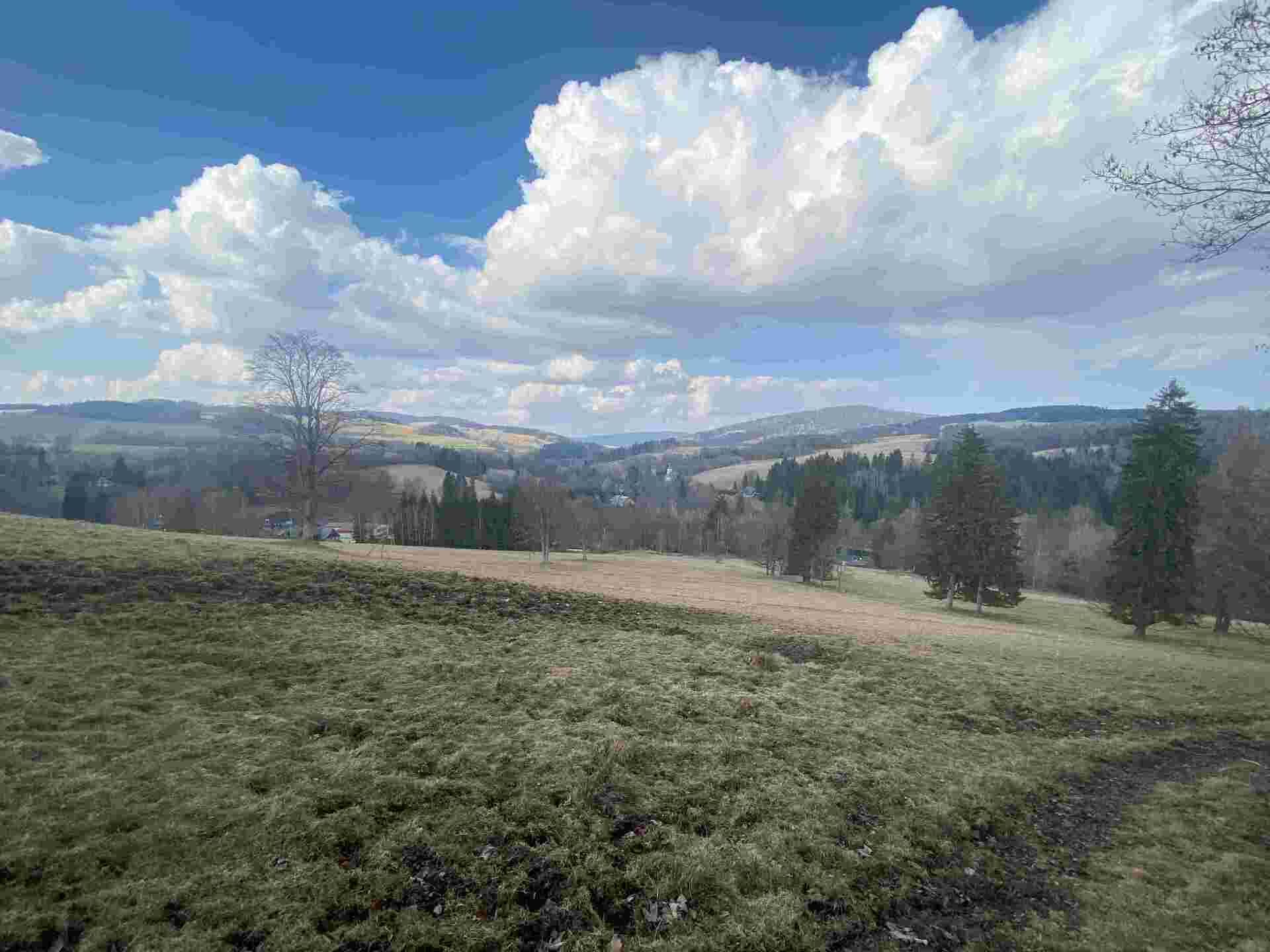 Prodej pozemku Bartošovice v Orlických horách