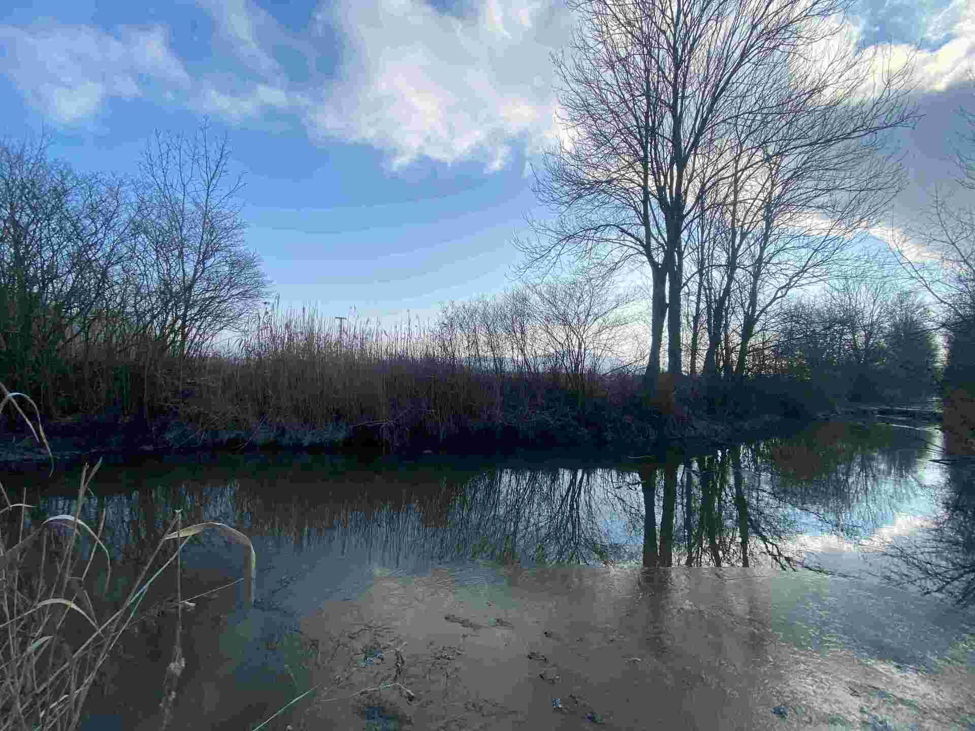 prodej pozemku k.ú. Polerady