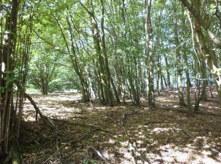 Prodej - pozemek, zemědělská půda, 14 517 m²