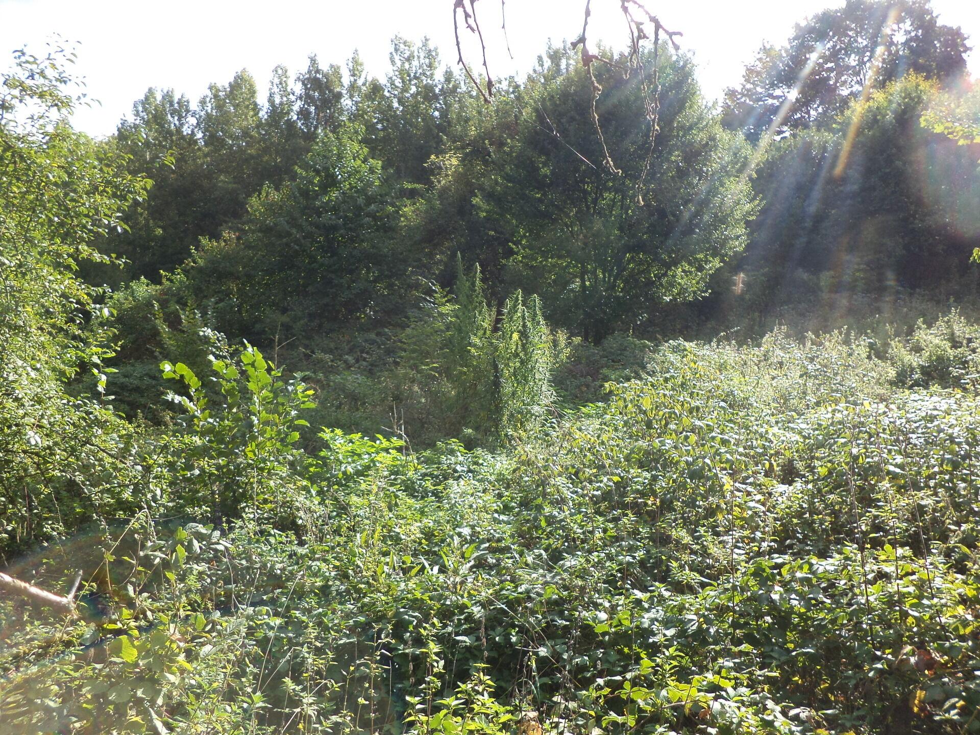 dražba pozemků Malé Březno nad Labem