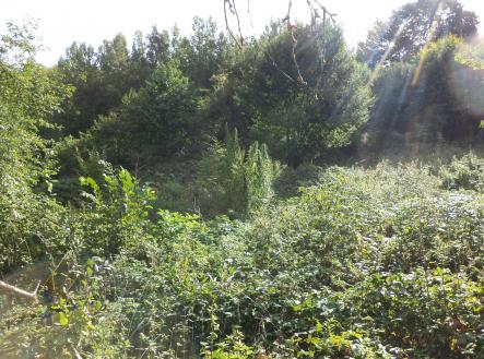 Prodej - pozemek, zemědělská půda, 14 517 m²