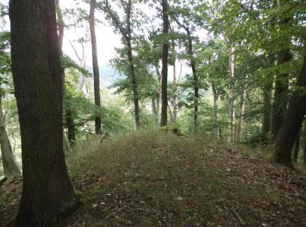 Prodej - pozemek, zemědělská půda, 14 517 m²