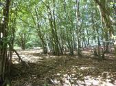 Prodej - pozemek, zemědělská půda, 14 517 m²