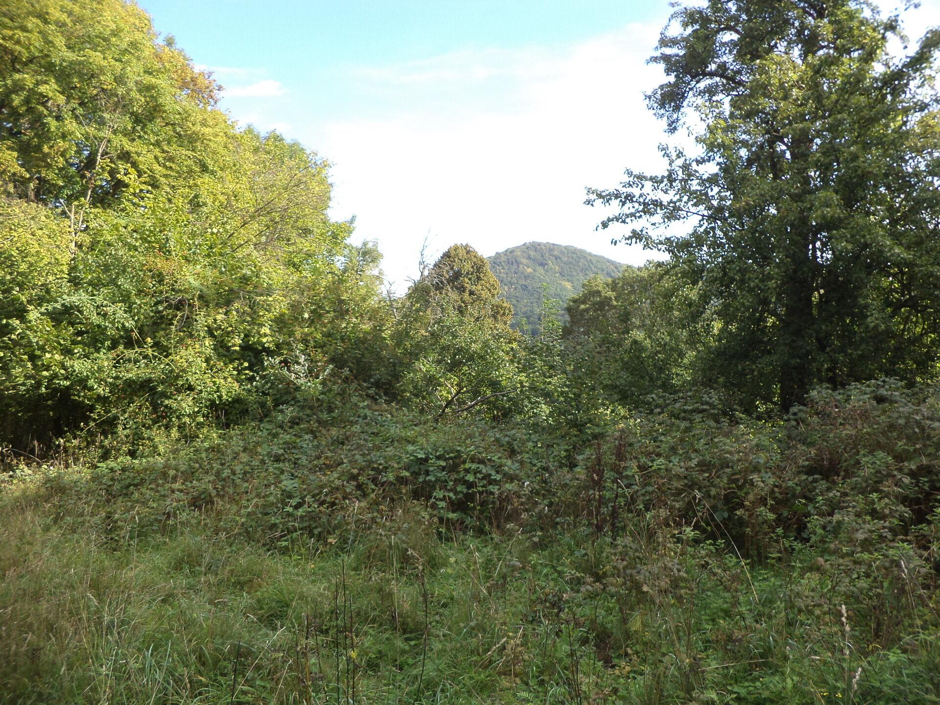 dražba pozemků Malé Březno nad Labem