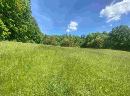 Prodej - pozemek, zemědělská půda, 872 m²