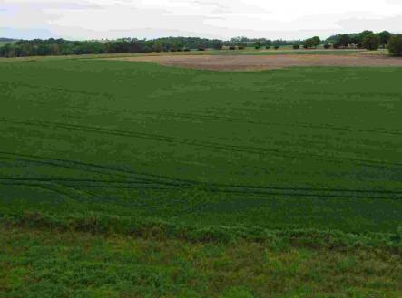 Prodej - pozemek, zemědělská půda, 15 062 m²