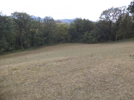 Prodej - pozemek, zemědělská půda, 10 011 m²
