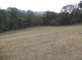 Prodej - pozemek, zemědělská půda, 10 011 m²