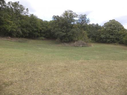 Prodej - pozemek, zemědělská půda, 10 011 m²