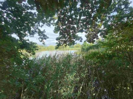 Prodej - pozemek, ostatní, 6 901 m²