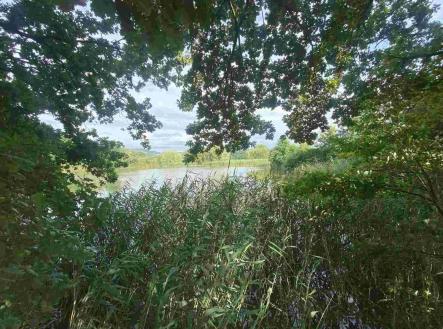 Prodej - pozemek, ostatní, 6 901 m²