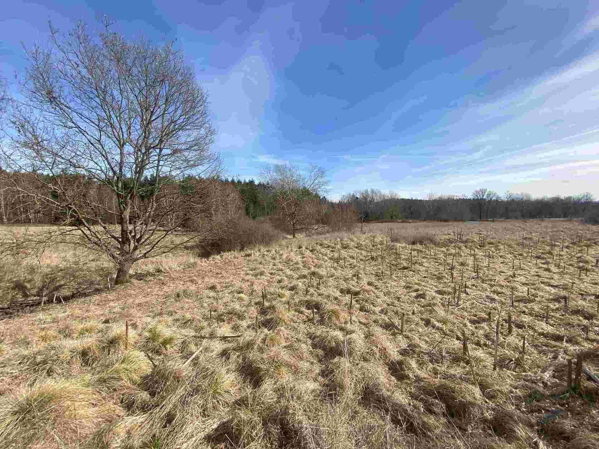 prodej pozemku k.ú. Jedličná