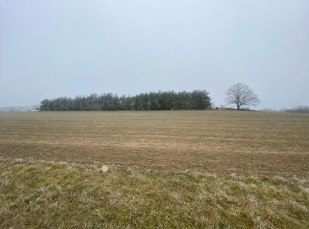 Prodej - pozemek, zemědělská půda, 10 514 m² obrázek
