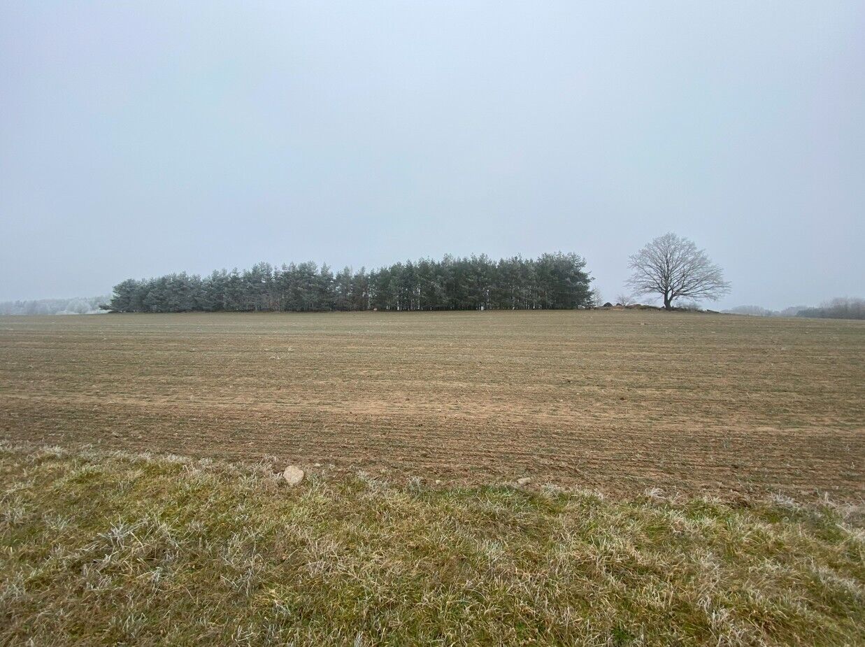 prodej pozemků k.ú. Slatina u Horažďovic