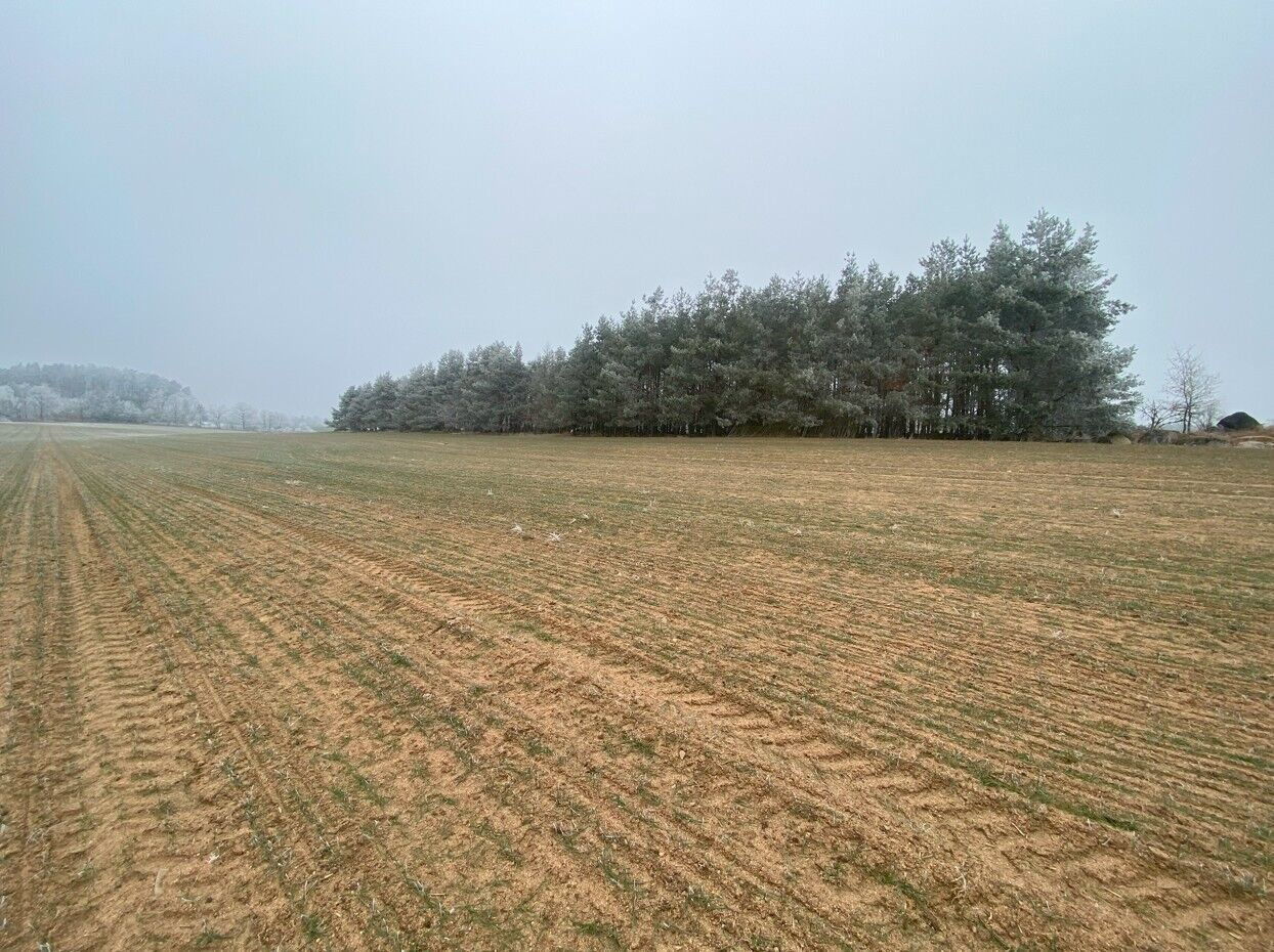 prodej pozemků k.ú. Slatina u Horažďovic