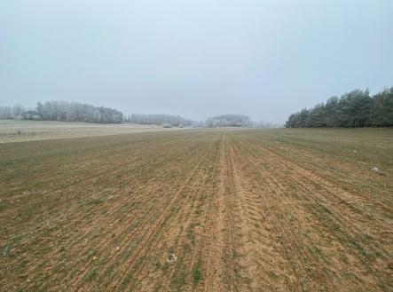 Prodej - pozemek, zemědělská půda, 11 302 m²