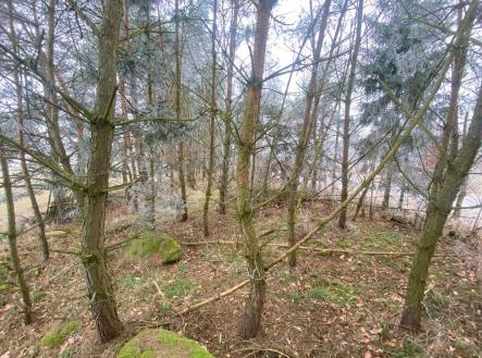 Prodej - pozemek, zemědělská půda, 11 302 m²