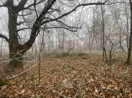 Prodej - pozemek pro bydlení, 2 192 m² obrázek