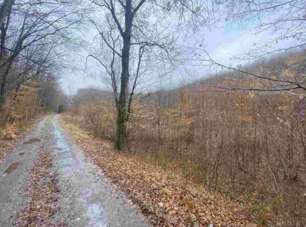 Prodej - pozemek, zemědělská půda, 3 207 m²