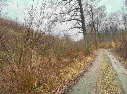 Prodej - pozemek, zemědělská půda, 3 207 m²