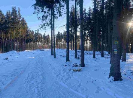 Prodej - pozemek, ostatní, 1 080 m²