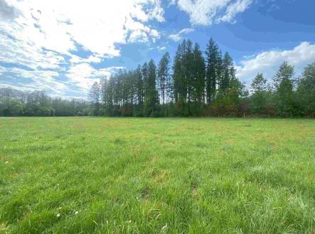 Prodej - pozemek, ostatní, 7 130 m²