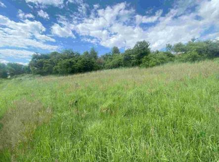 Prodej - pozemek, ostatní, 10 215 m²