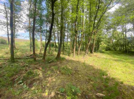 Prodej - pozemek, ostatní, 10 215 m²
