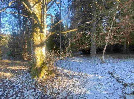 Prodej - pozemek, ostatní, 12 768 m²