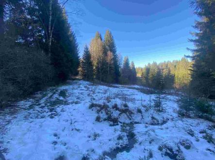 Prodej - pozemek, ostatní, 12 768 m²
