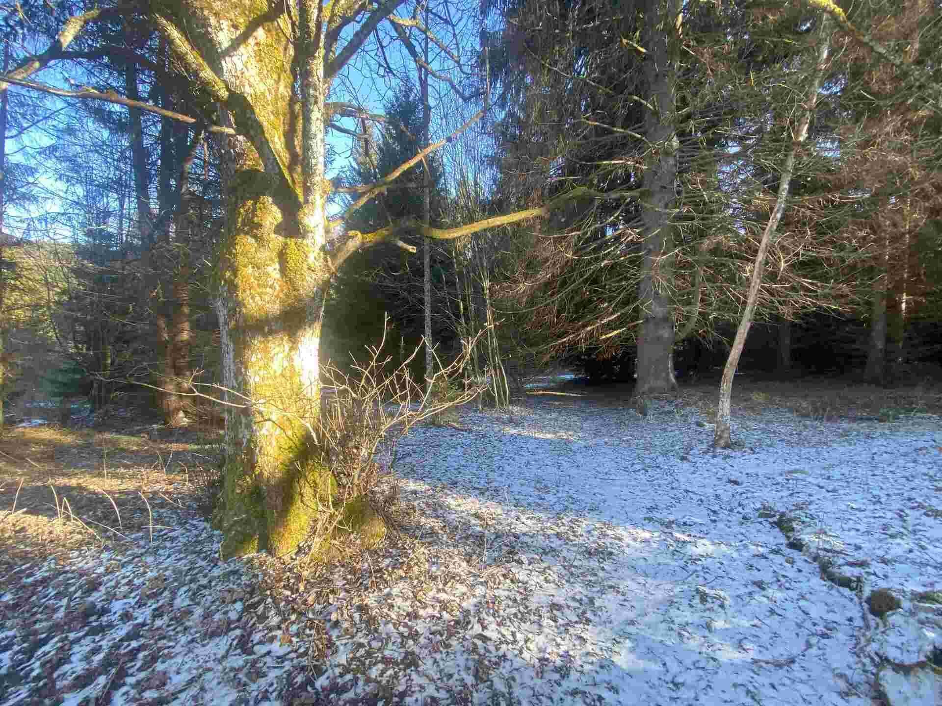 prodej pozemků Javorná na Šumavě