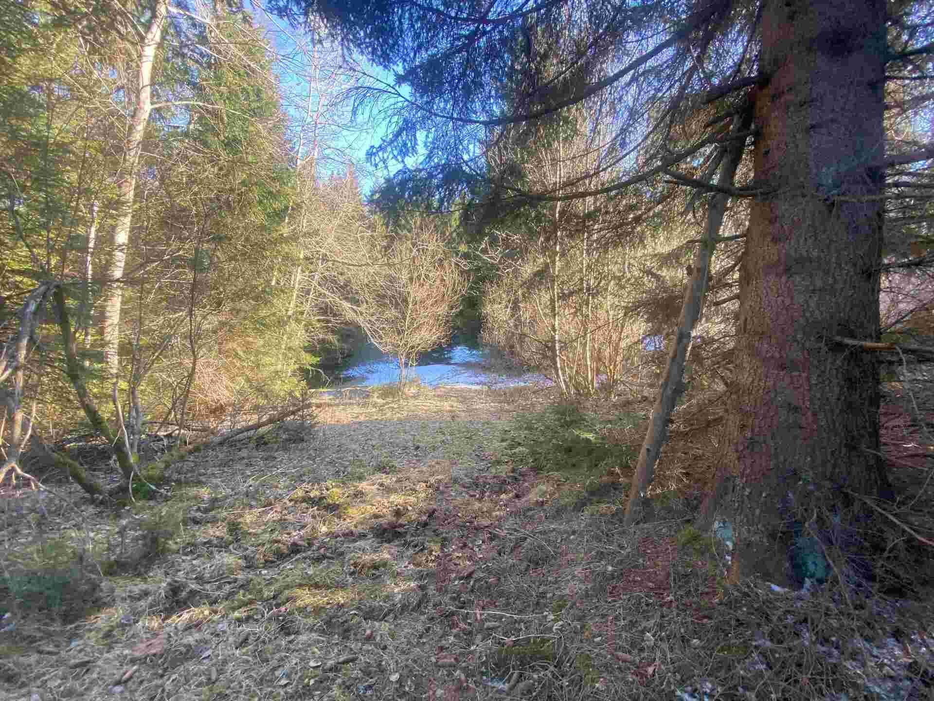 prodej pozemků Javorná na Šumavě