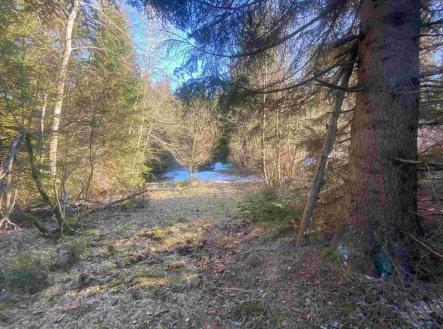 Prodej - pozemek, ostatní, 2 391 m²