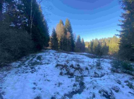 Prodej - pozemek, ostatní, 2 391 m²