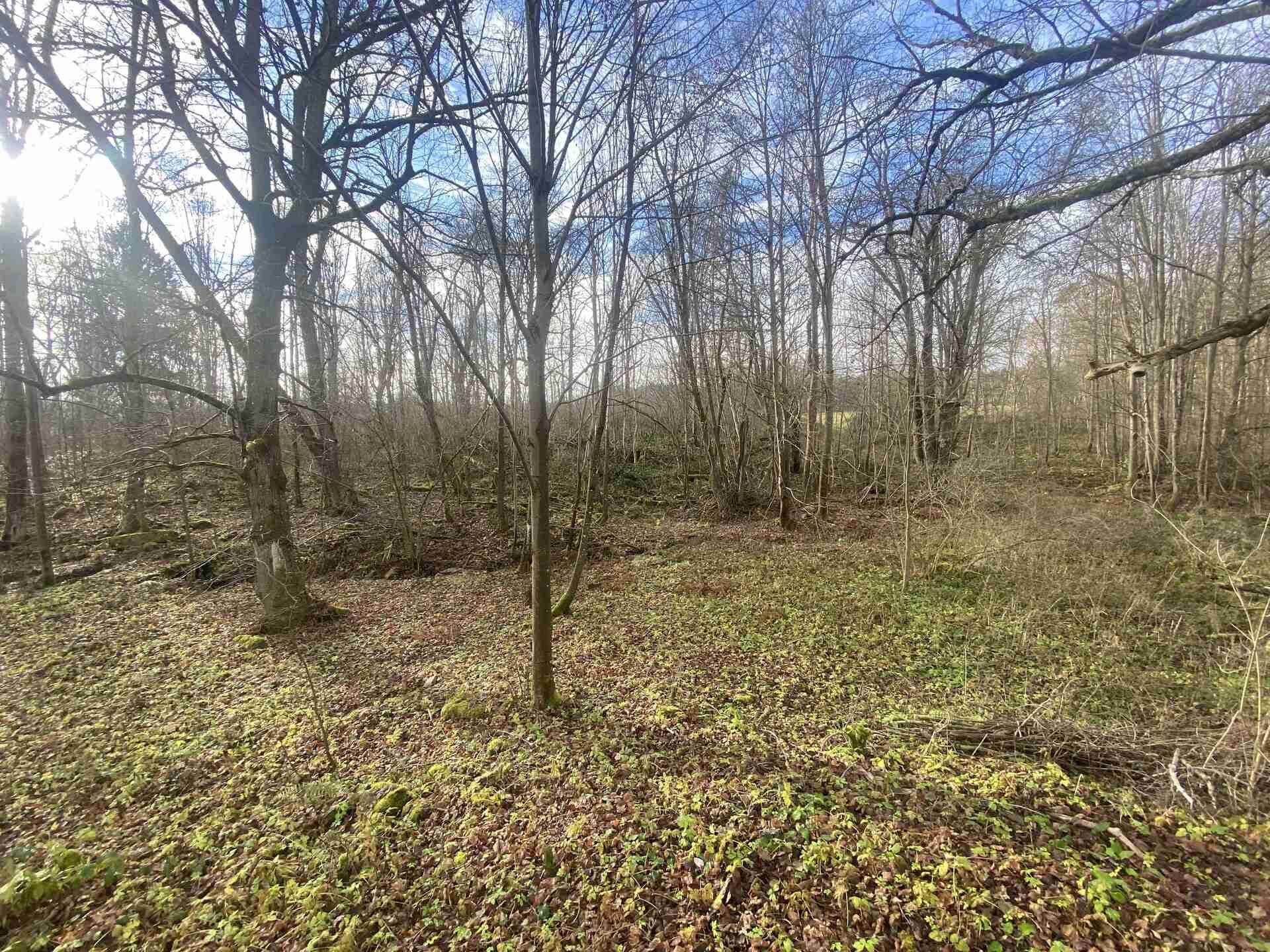 Prodej pozemku Košťálkov