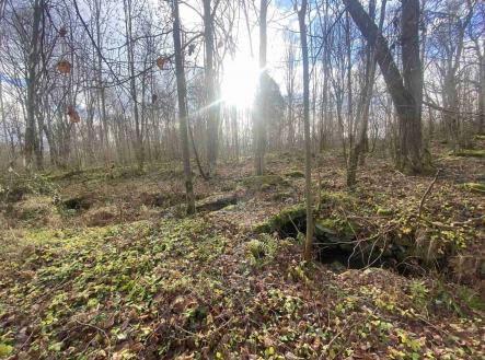 Prodej - pozemek pro bydlení, 1 074 m²