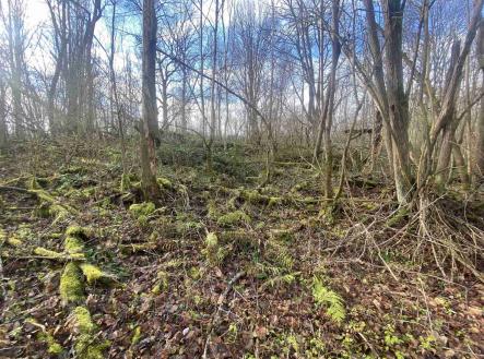 Prodej - pozemek pro bydlení, 1 074 m²