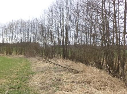 Prodej - pozemek, zemědělská půda, 11 340 m²