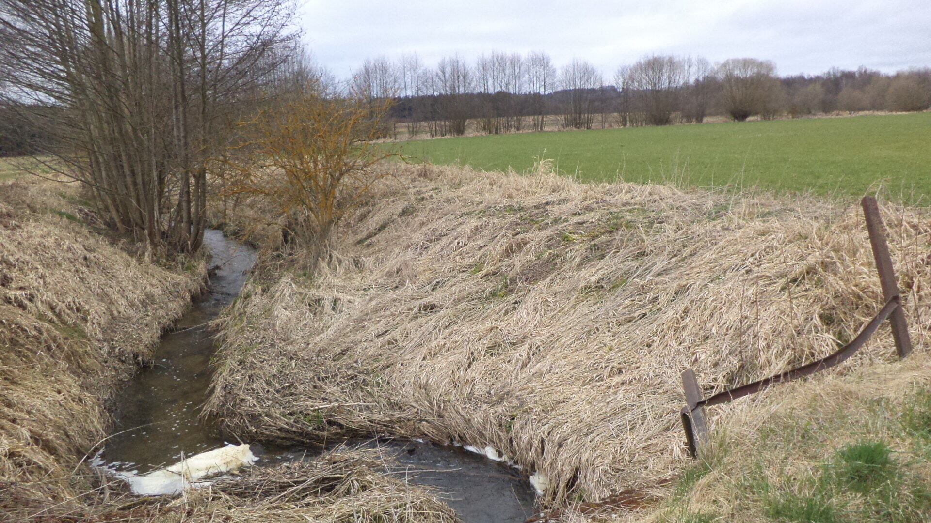 Prodej pozemků Dolní Radouň