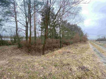 Prodej - pozemek, ostatní, 2 121 m²