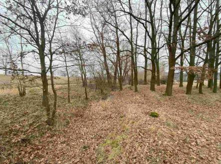 Prodej - pozemek, ostatní, 2 121 m²