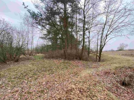 Prodej - pozemek, ostatní, 2 121 m²